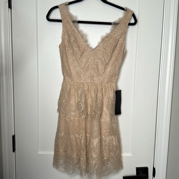 BCBGMAXAZRIA NWT Lace Dress in color Allure - XXS - Picture 5 of 9